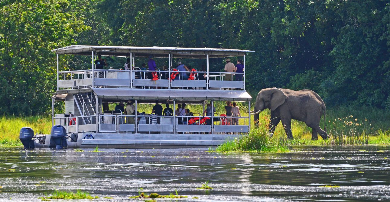 Uganda’s Wild Wonders: A 8-Day Safari Adventure