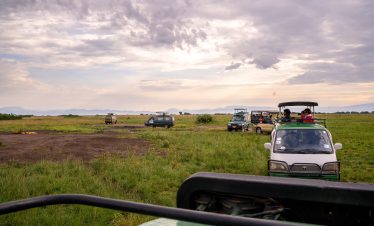 Game Drive Africa Sustainable Journeys