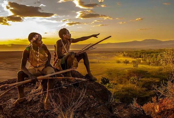 Evening Tours - Africa