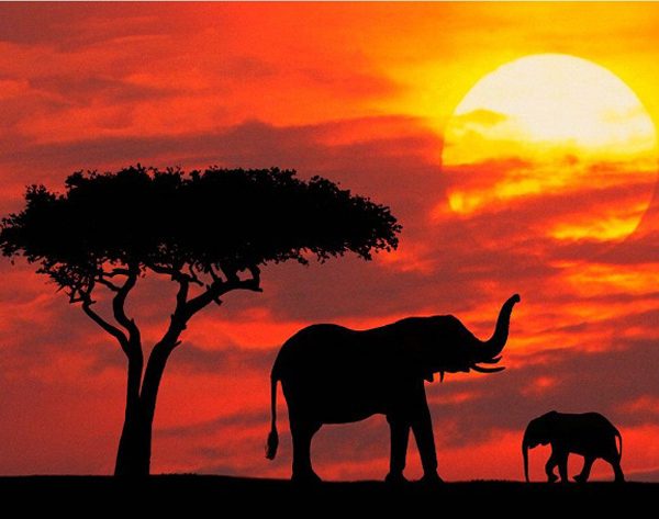 africasustainablejourneys