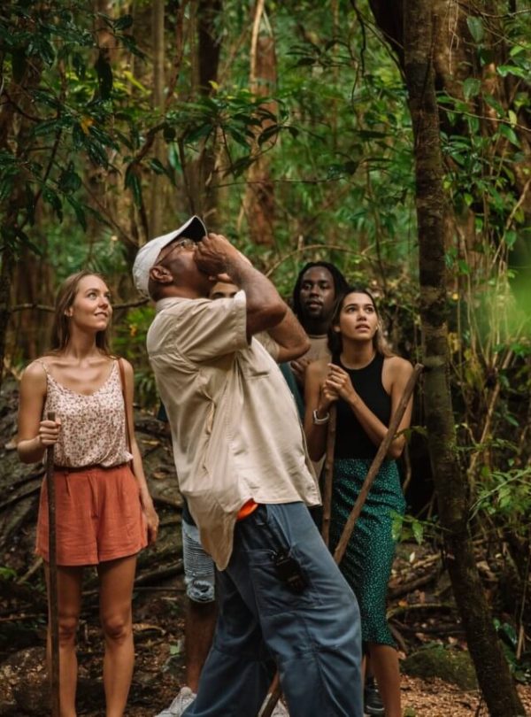 Forest Tours - Uganda